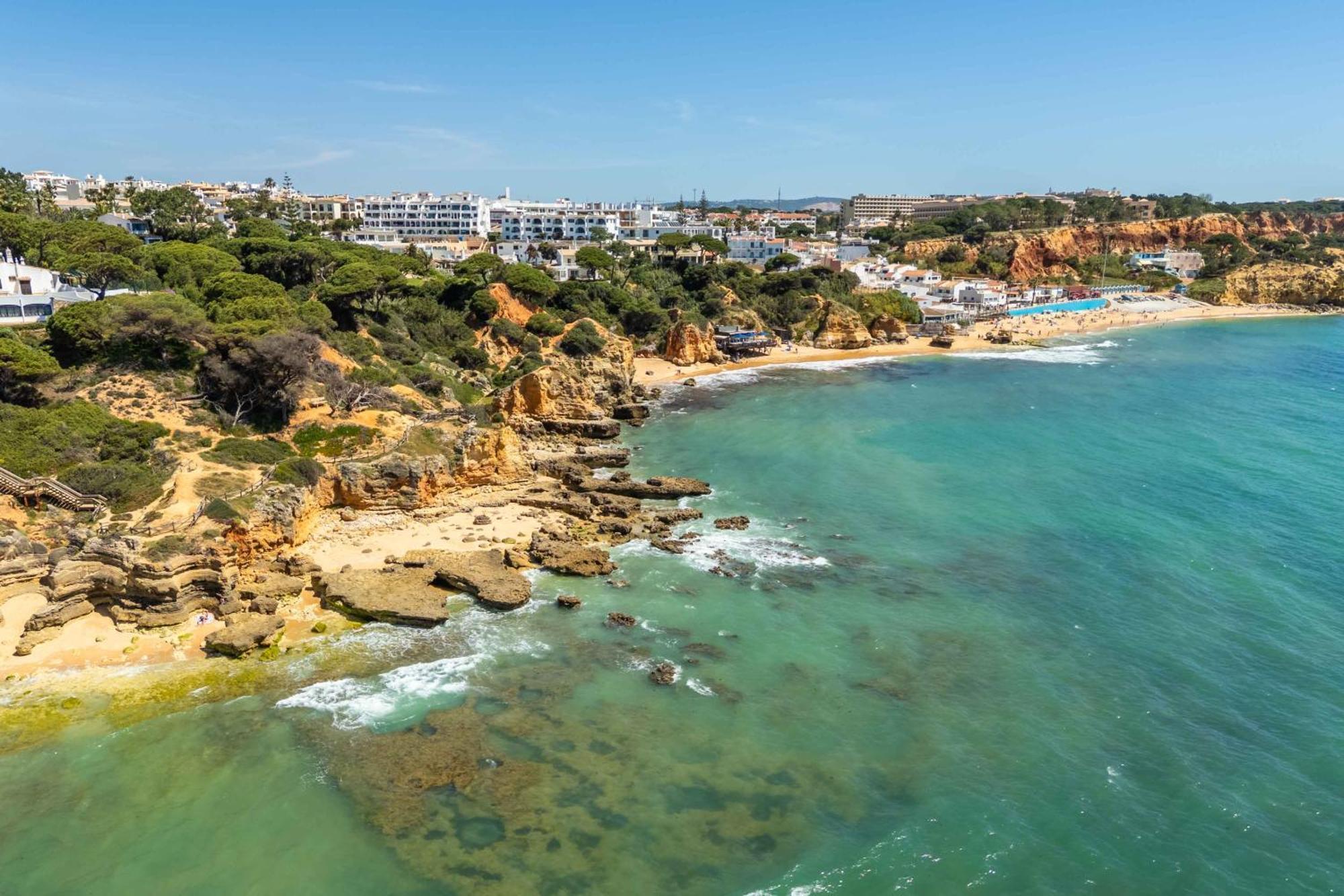 T2 Eucalipto 2a Olhos de Agua (Albufeira)